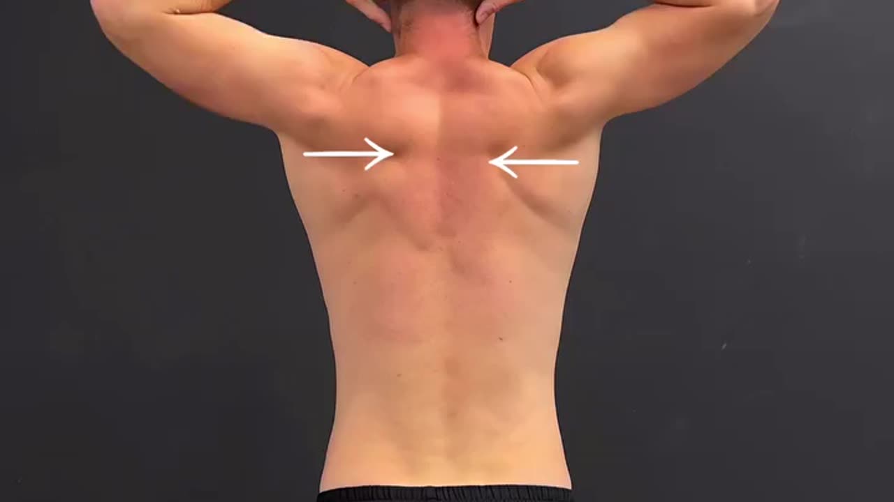 🔥A set of exercise for back