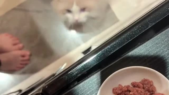 No more dinner for you tonight💖