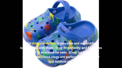 Skim Feedback: Kitulandy Kids Clogs Dinosaur Boys Girls Cartoon Slides Slippers Toddler Garden...