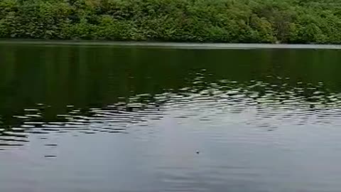 St. Mary's Serenity : A Reservoir in Pennsylvania