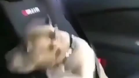 Scary dog ride by car