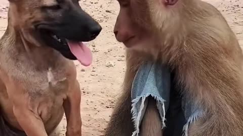 #Useful#Beautiful#Funny #Funny video#laugh# interesting#video#short video#short#short cut