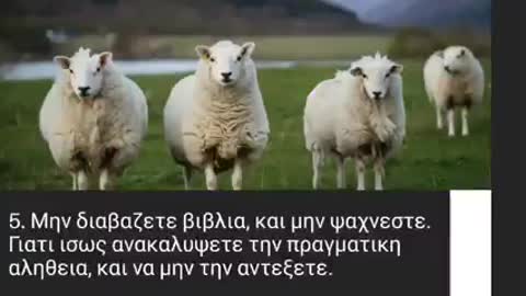 Γίνε πρόβατο κι εσύ μπορείς