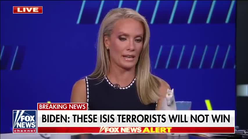 Jesse Watters: I couldn't figure out what was going on