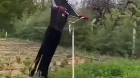 funny video