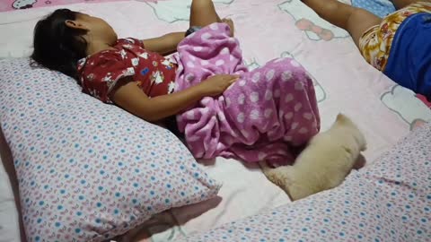 Puppy Pesters Sleeping Girl