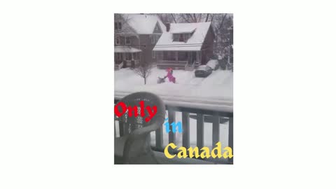 Hilarious Unicorn Snow Day!!!!🤣😂🤣