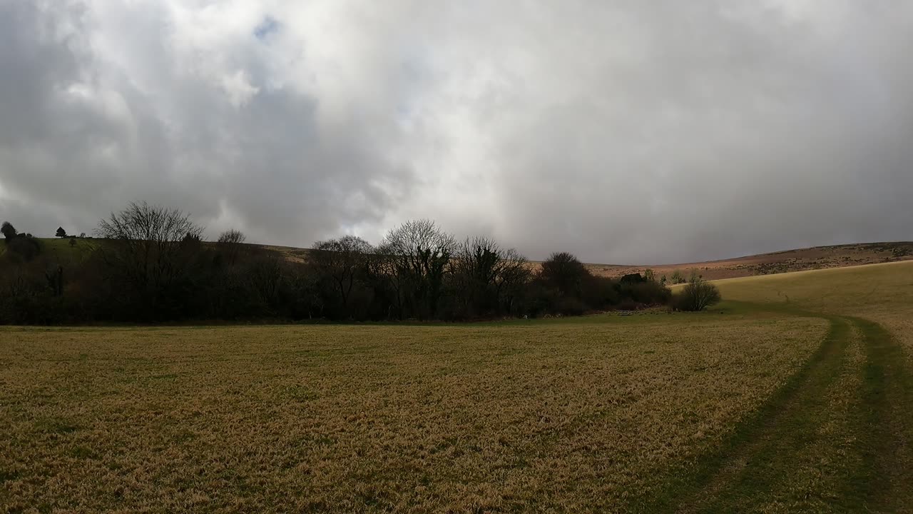 South of Dartmoor. UK 21st March 2023