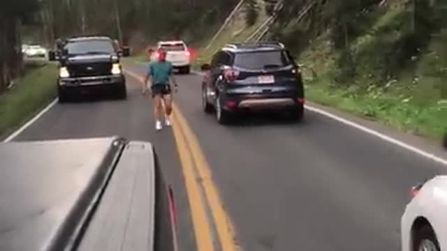 Don't Approach the Bison in Yellowstone National Park