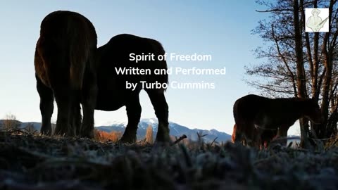 Spirit Of Freedom by Turbo Cummins