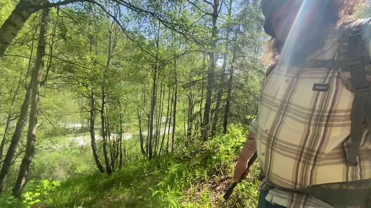 The Blue Berry Knoll Hike Alaska