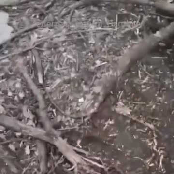 American and Canadian mercenaries under Russian artillery fire in the Avdeevka area.