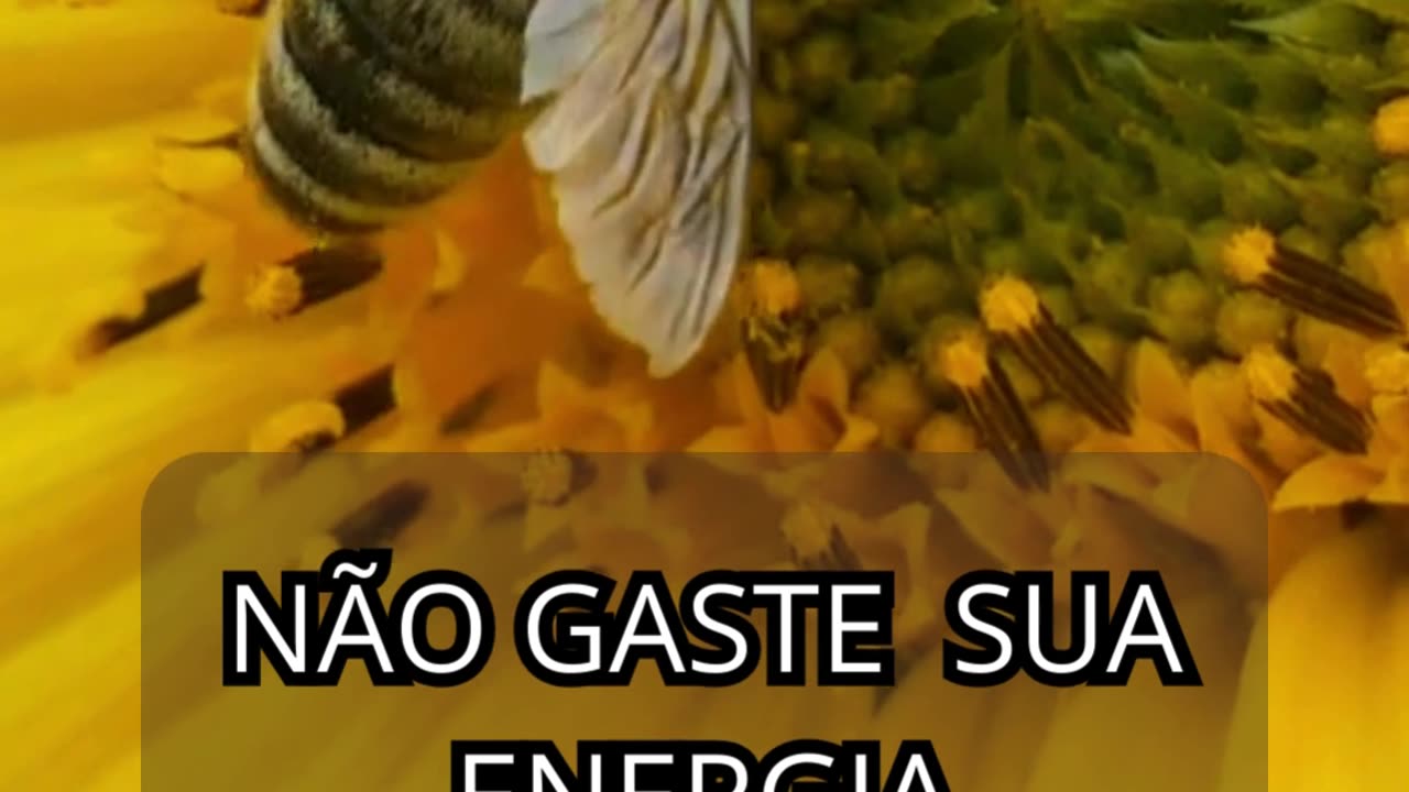 Motivação