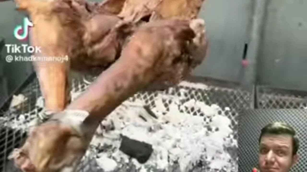 Canibalismo de moda