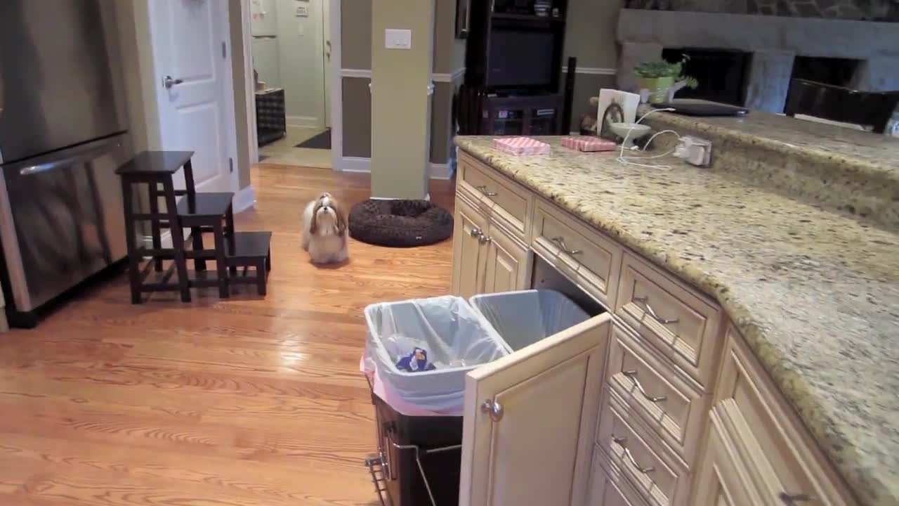 Vlogust 2012, Day 16: Party Prep & Family Time (2012-08-18)
