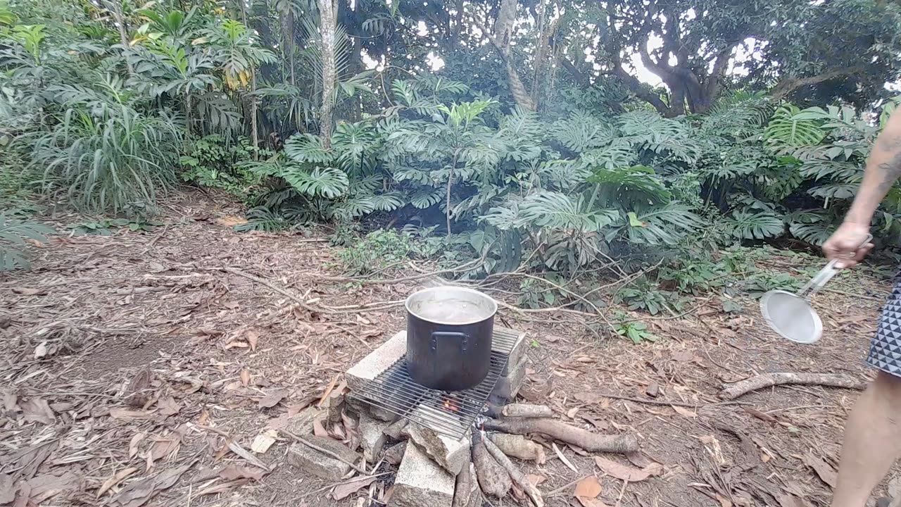 Sugarcane Syrup!!!! Old-school styleee