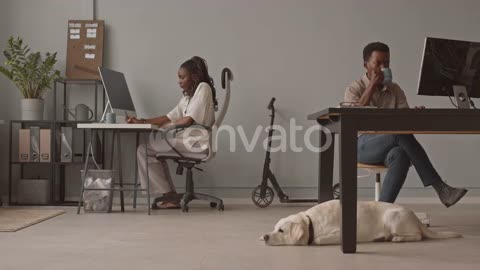 Pet-friendly office