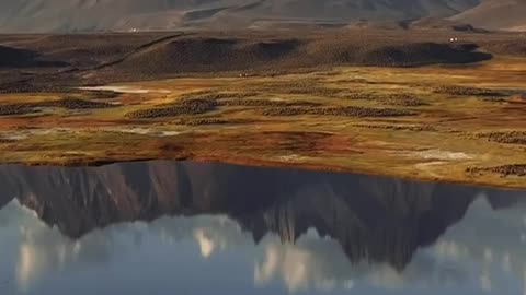 Nature's Beauty with relaxing sounds