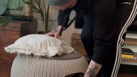 Dog doesn't want for a walk