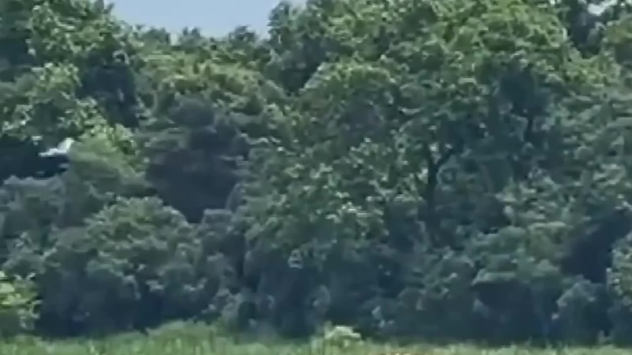 You can see hear farmer, lion and birds in single frame