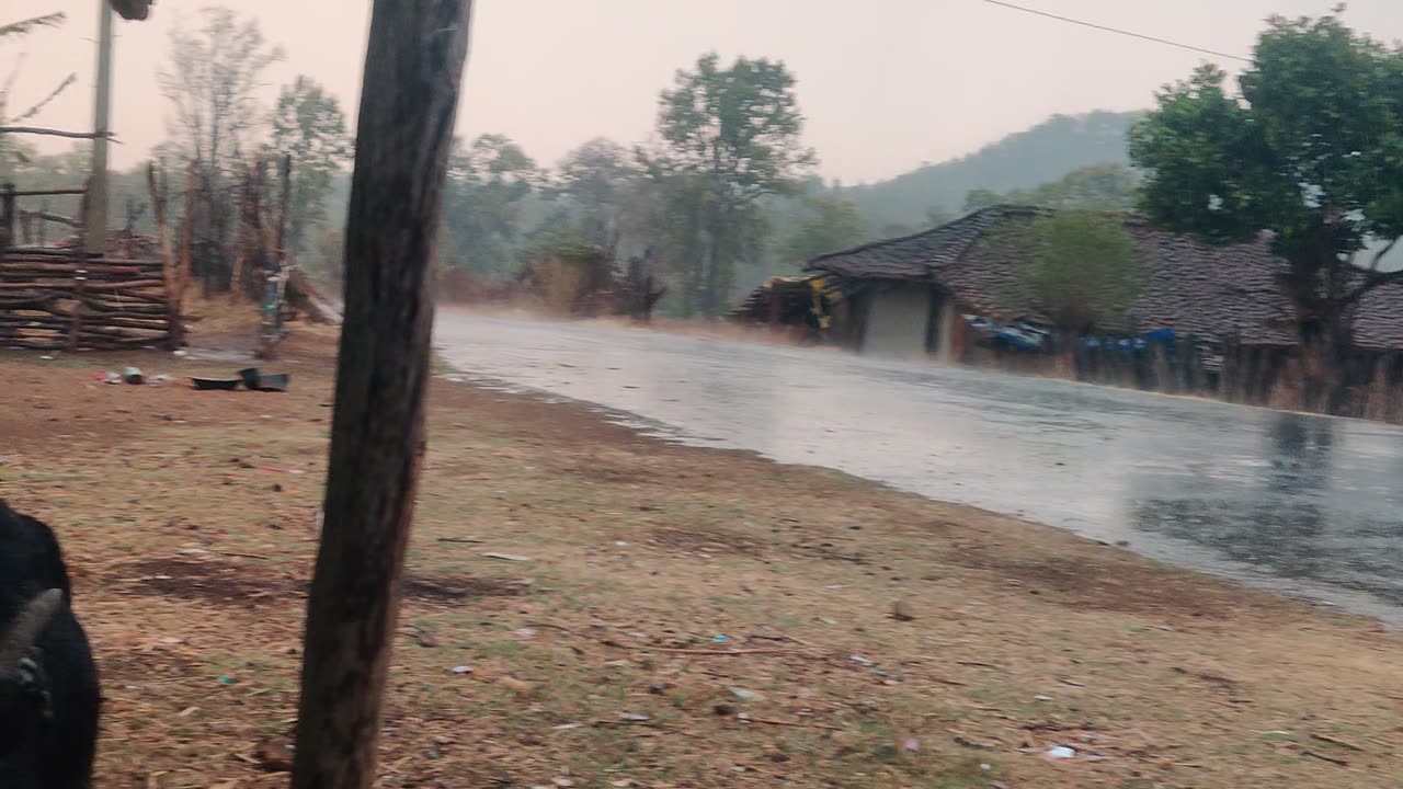 Raining in village