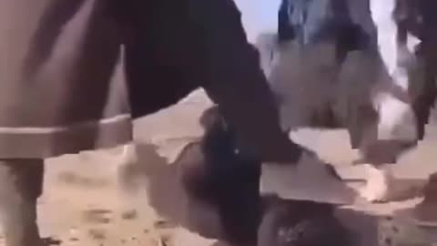 More Islam Beatings