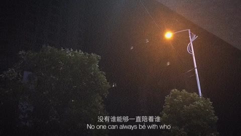 Where there is great love, there are always miracles.