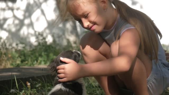 Little girl with a puppy in garden. A puppy in the hands of a girl