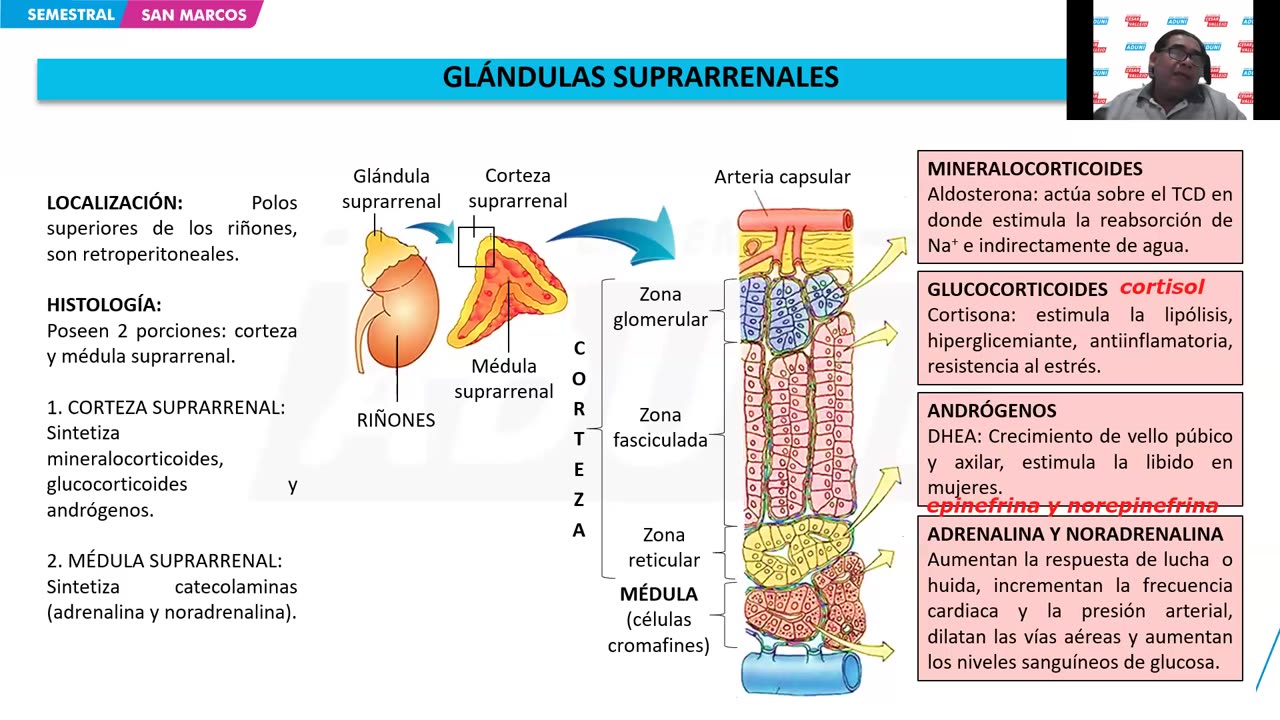 SEMESTRAL ADUNI 2024 | Semana 15 | Biología | RV S1 | Filosofía