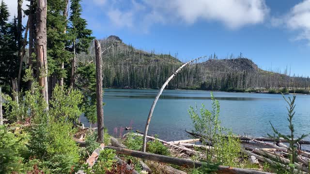 Central Oregon - Mount Jefferson Wilderness - Approach to Splendid Wasco Lake