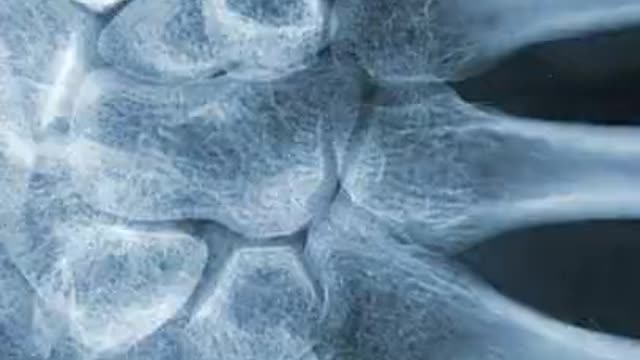 What Happens To Our Bodies As We Age_ #shorts