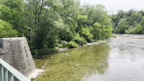 Beautiful Toronto day