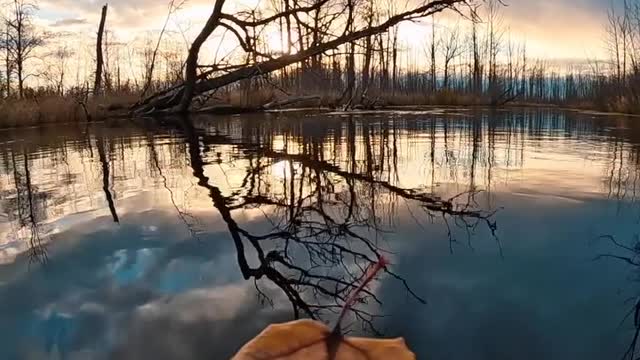 Alaska, fall