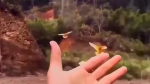 RESPECT 😱 _ #short #youtubeshorts #shortsfeed #trending #viral