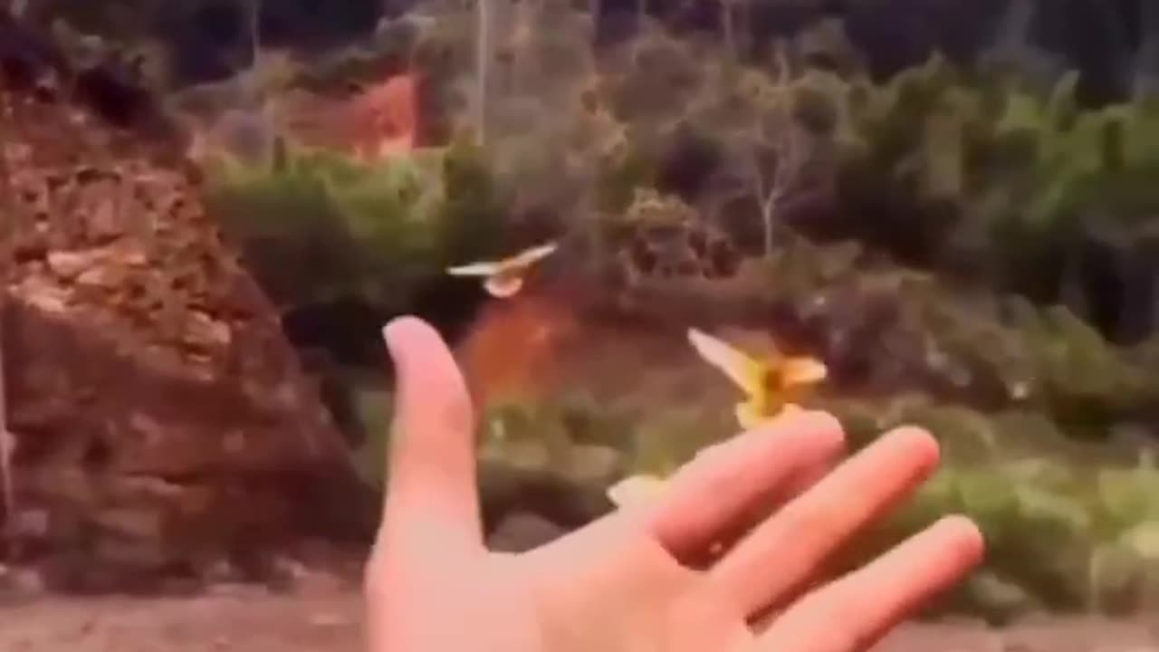 RESPECT 😱 _ #short #youtubeshorts #shortsfeed #trending #viral