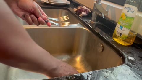 Cleaning Journey!