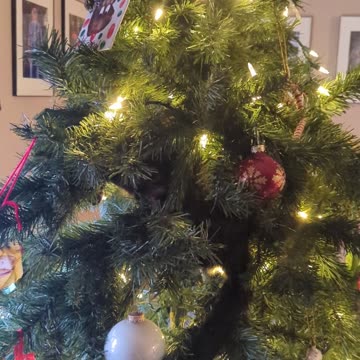 BradKuz76 Stinky Gerald Trash Cat