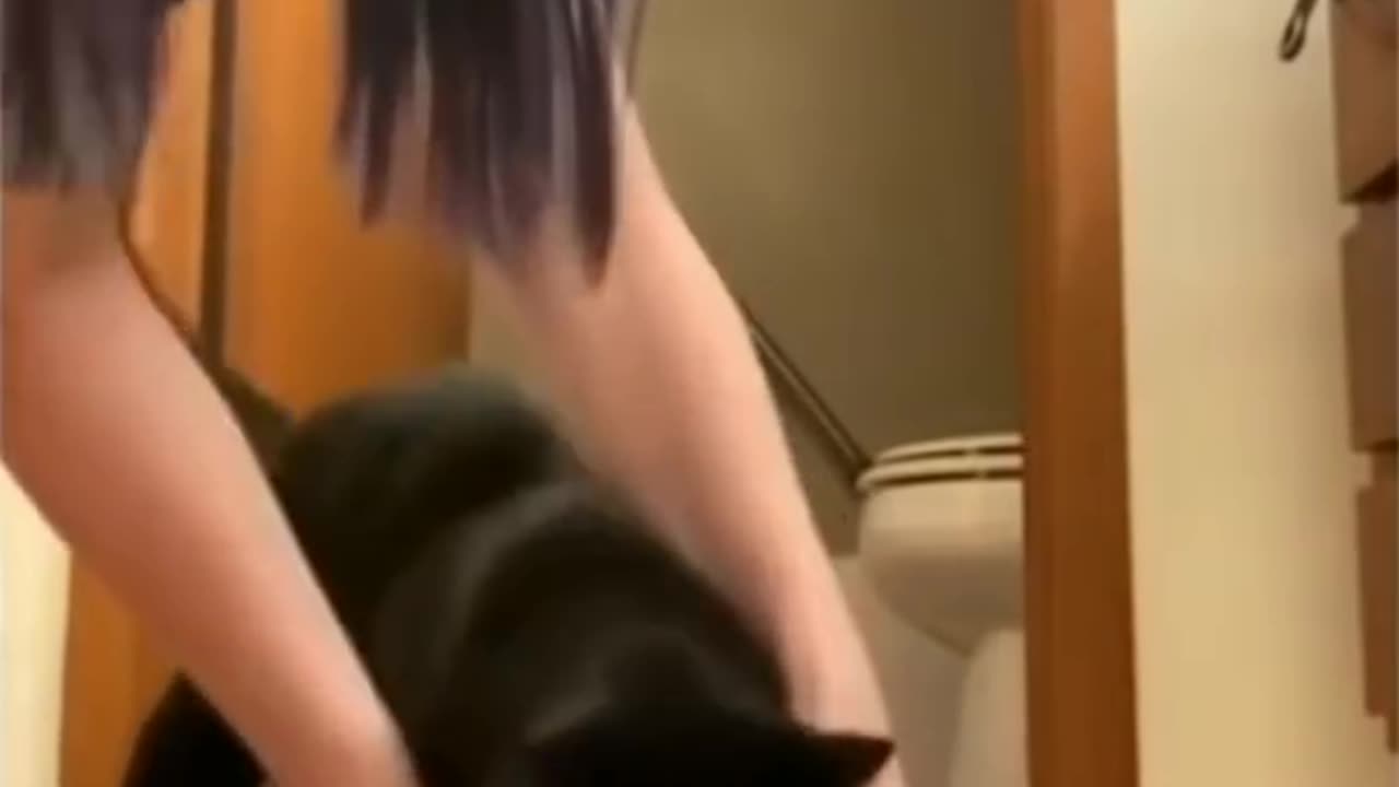 Cute Cats,Funny Cats,Funny Animals#shorts