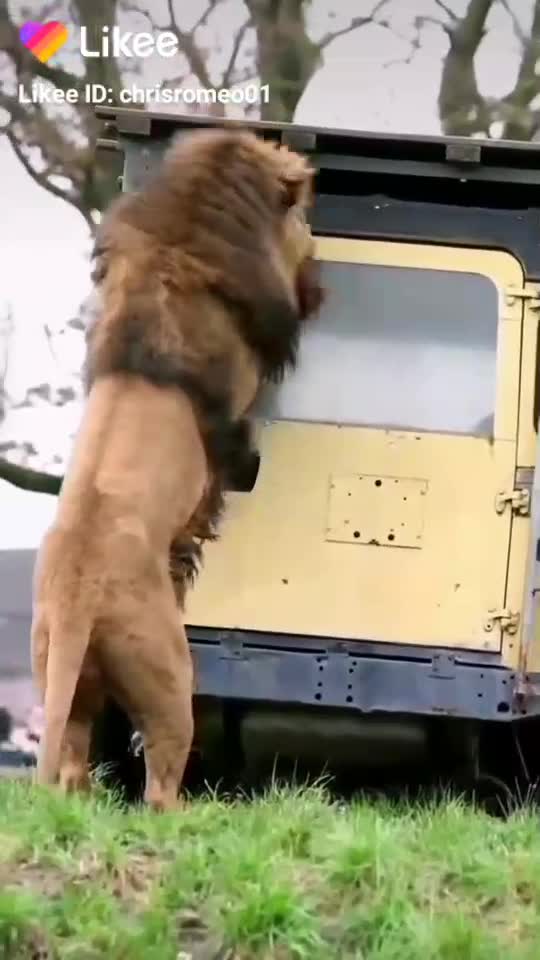 🇪🇹🇹🇯🇹🇰🇹🇱🇹🇲🇹🇳🇹🇴🇹🇷🇹🇹🇹🇻🇹🇼🇹🇿🇺🇬🇹🇿💌🙏