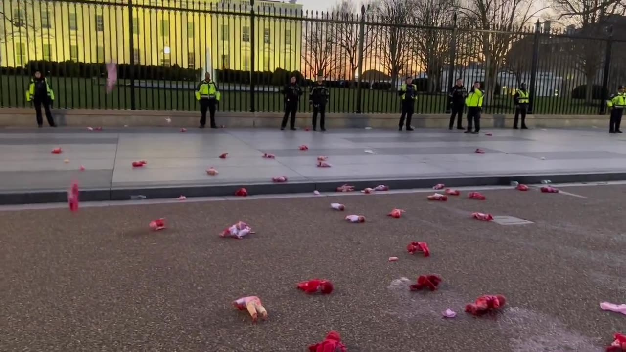 Pro-Palestinian protesters throw babies at the White House