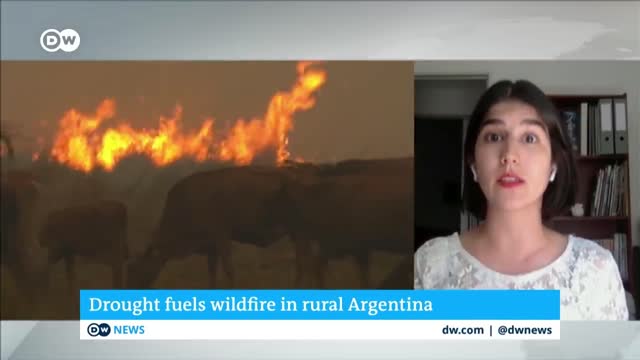 Firefighters in northern Argentina are struggling to contain massive wildfires | DW News