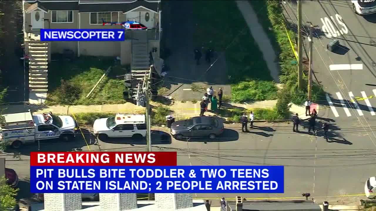 2 teens, toddler attacked by pit bulls on Staten Island