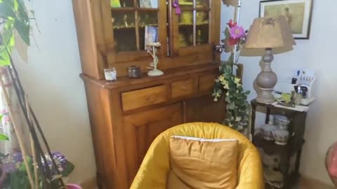 2023-03-26 (5) - unexpected trash - Twitch Decheterie