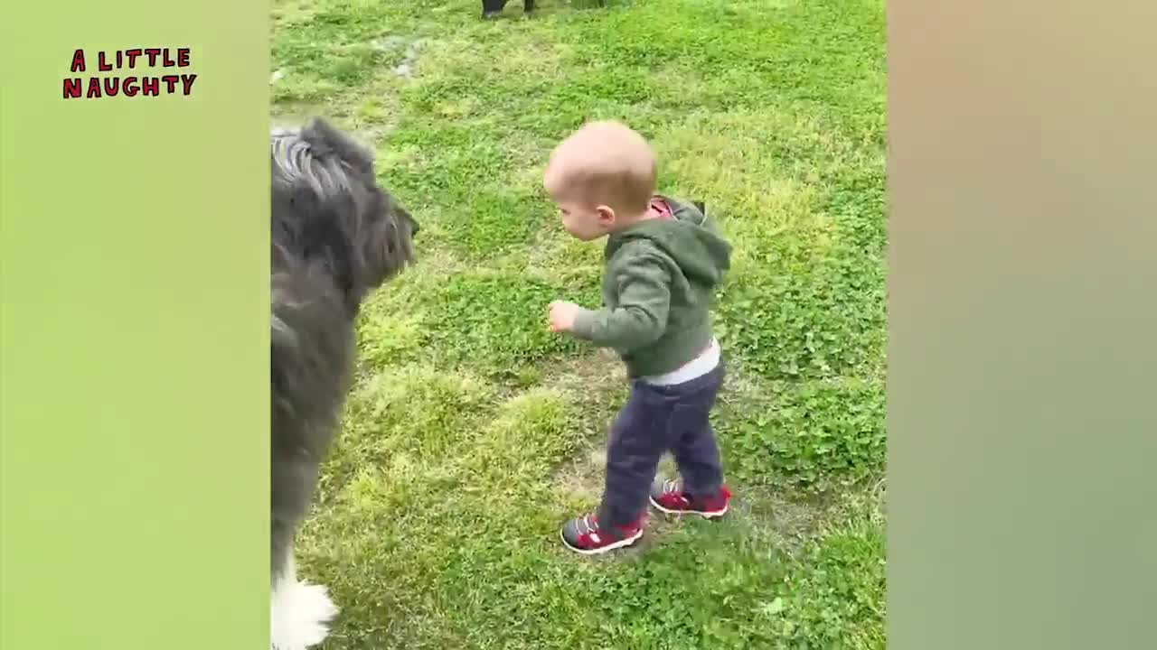 Best video of Cute Babies and Pets - Funny Baby and Pet