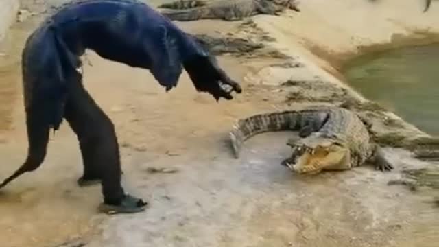 The Crocodile Impersonator