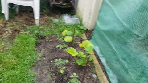 A break in the storms