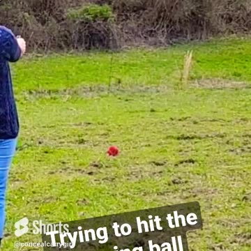 Trying to hit the Do-All Target Ball!