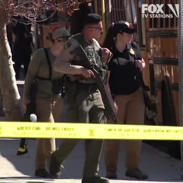 Mountain Lion Prompts School Lockdown