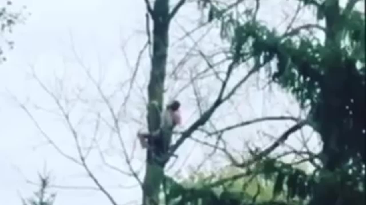 Using/not using your head