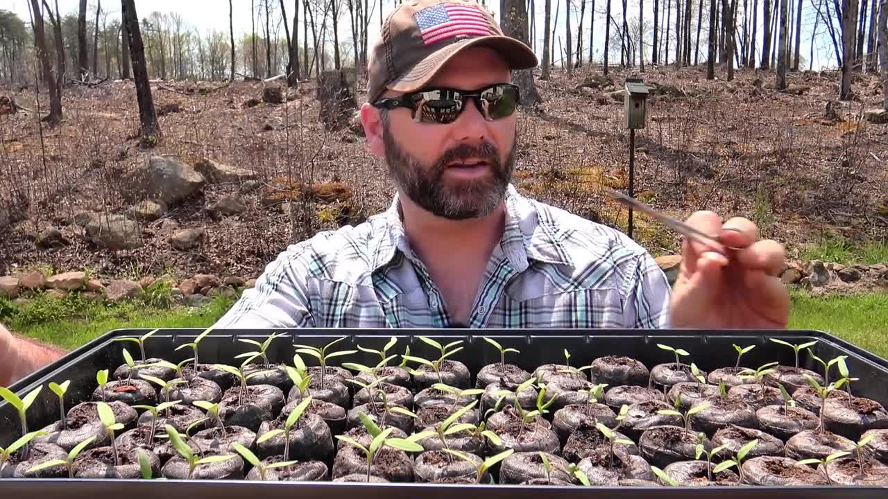 GARDENING TIPS FOR SUCCESS....THE SEEDS HAVE SPROUTED..NOW WHAT??